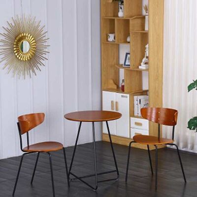 Modern European Minimalist Nordic Dining Chair Metal Legs Iron 75.5CM